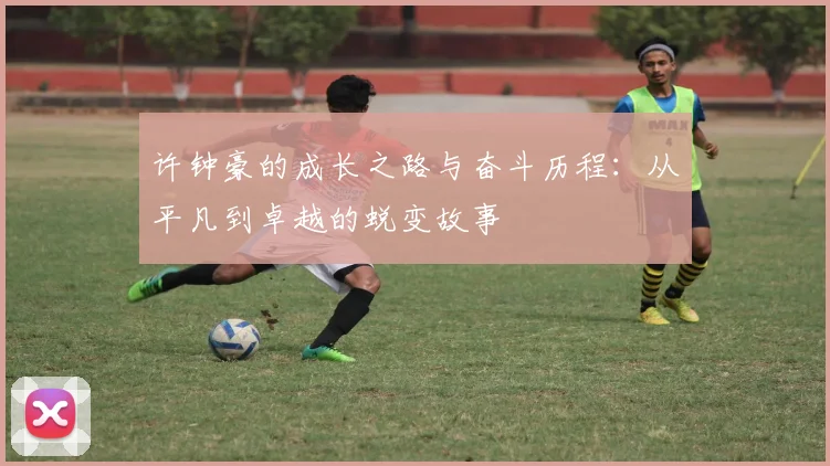 许钟豪的成长之路与奋斗历程：从平凡到卓越的蜕变故事