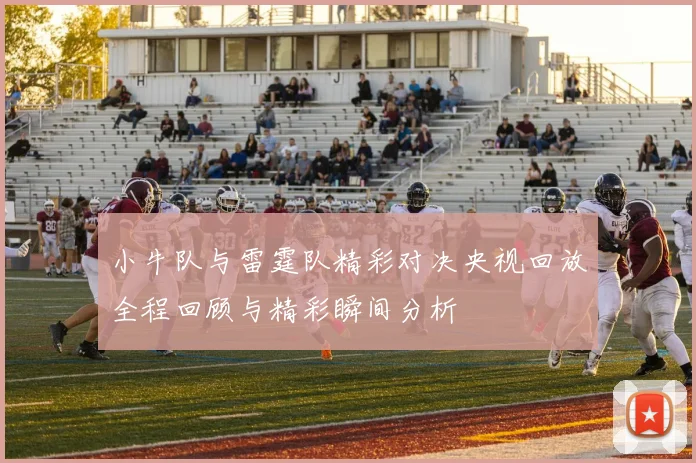 小牛队与雷霆队精彩对决央视回放全程回顾与精彩瞬间分析