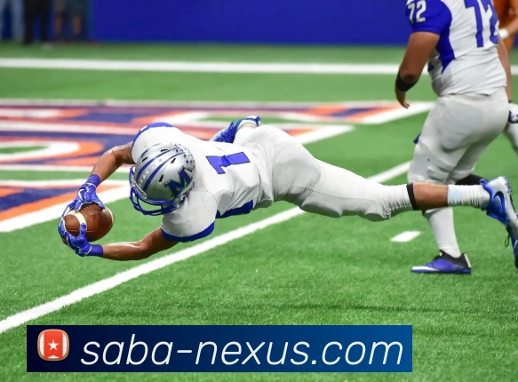 沙巴体育APP 封面图